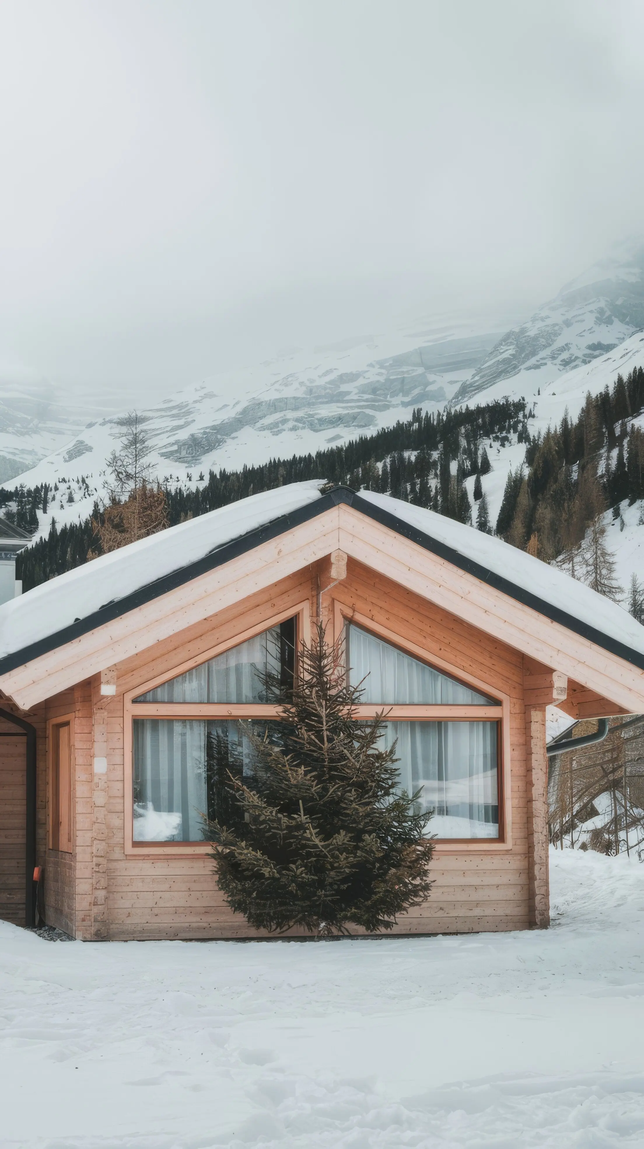 A beautiful winter house and a Christmas tree on the mountain.